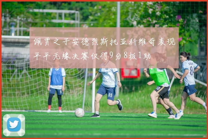 佩贾之子安德烈斯托亚科维奇表现平平无缘决赛仅得9分8板1助